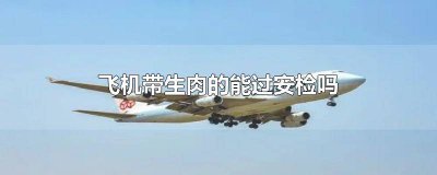 ​飞机带肉的能过安检吗 机场安检能带肉吗