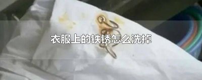 ​怎样去除衣服上的水锈渍 如何去除衣服上的水锈
