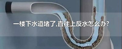 ​住在一楼下水道老往上反水怎么办呢 一楼下水道反水怎么彻底解决