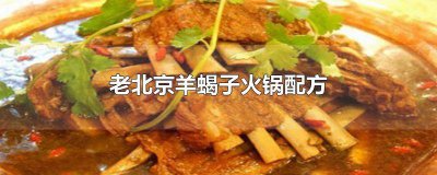 ​老北京羊蝎子火锅的正宗做法 老北京羊蝎子火锅店