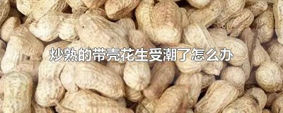 ​带壳炒花生受潮了不脆了怎么办 煮的带壳花生发粘了怎么办