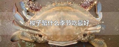 ​梭子蟹啥季节好吃 梭子蟹最好吃的季节