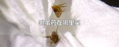 ​跳蚤药多少钱一斤 跳蚤药哪里买