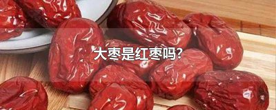 ​药用大枣与红枣有什么区别 中药小枣与大枣的区别