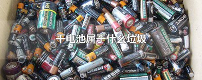 ​一次性干电池属于哪一类垃圾 一次性干电池属于什么垃圾