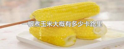 ​一根煮玉米多少千卡 煮玉米的卡路里是多少