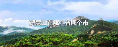 ​沂蒙市包括哪几个县 沂蒙属于哪个省哪个市