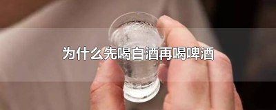 ​先喝白酒再喝啤酒还是先喝啤酒再喝白酒 先喝白酒再喝啤酒和先喝啤酒再喝白酒
