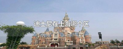​迪士尼在上海哪个区哪个街道 上海迪士尼在上海哪个区