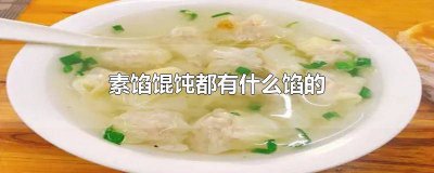 ​素馅馄饨都有什么馅的馅做法大全 素馅馄饨都有什么馅的的调制方法