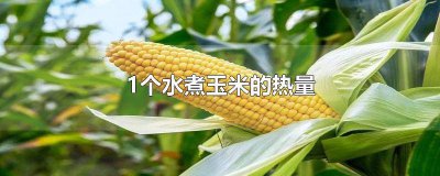 ​1个水煮糯玉米的热量 1个鸡蛋的热量