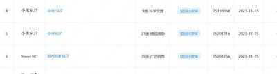 ​小米汽车多个商标申请被驳回 包括““小米SU7”“XIAOMI SU7”