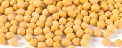 ​黄豆怎样清洗 黄豆怎么清洗才能去掉农药