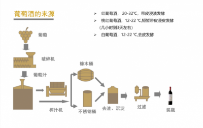 ​酿葡萄酒怎么酿的好？酿葡萄酒怎么酿的好喝