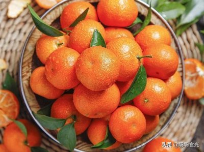 ​橘子品种大全及名称（这10个好吃的橘子种类比较常见）