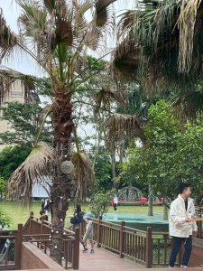 ​李小鹏一家广西旅游，奥莉女大十八变，安琪皮肤泛黄