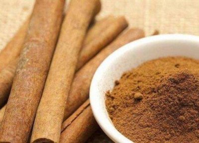 ​像树皮的药材叫什么名字（长得跟树皮一样的中药图片）