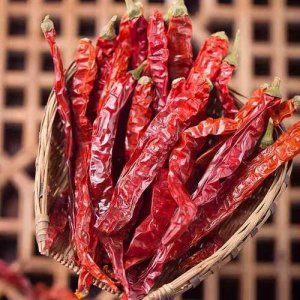 ​中国最香的辣椒排名榜