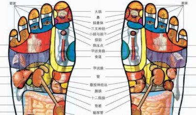 ​脚底穴位图按摩（详解）
