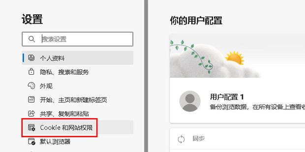 配图