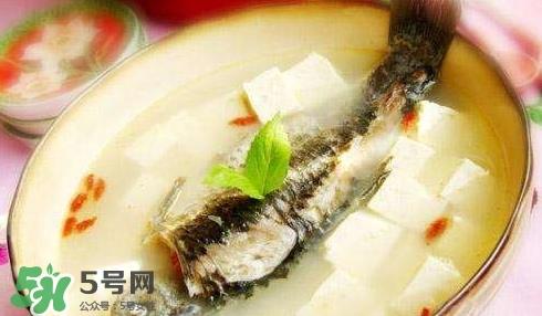 鲫鱼汤的做法孕妇喝 孕妇鲫鱼汤做法大全
