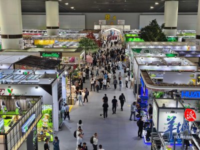​广交会第二期火热进行中！“大家居”加速出海引领全球采购热潮