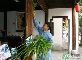端午节门上挂的那个草叫什么？端午节挂门上的叫什么？