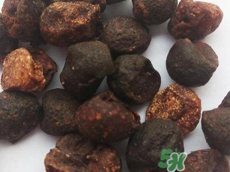 山黄皮的功效是什么？山黄皮的功效与作用