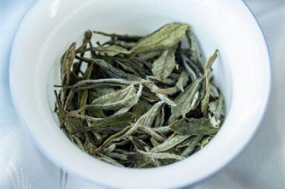 ​白牡丹茶要放冰箱吗 白牡丹茶怎么保存
