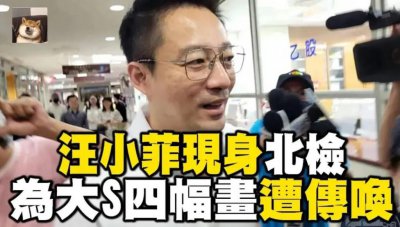 ​汪小菲再度被传唤，回应会尽所能照顾家人，大S紧盯四幅画不撒手