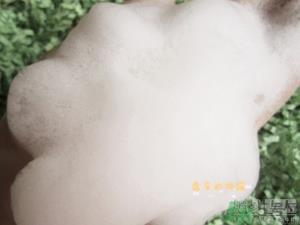 淳萃水舞樱花洗发水好用吗？淳萃水舞樱花洗发水多少钱？
