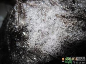 淳萃水舞樱花洗发水好用吗？淳萃水舞樱花洗发水多少钱？