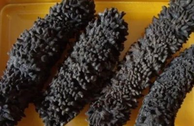 ​梅花参是世界上名贵的海参 拥有鲜艳颜色(营养丰富)