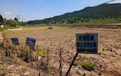 ​四川一稻虾基地被博主传“随便捡”损失惨重，“完全劝不退！”律师详析三大焦