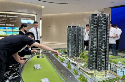 ​史诗级利好点燃深圳楼市：宝安千万豪宅开盘只剩3套，开发商周末通宵卖房