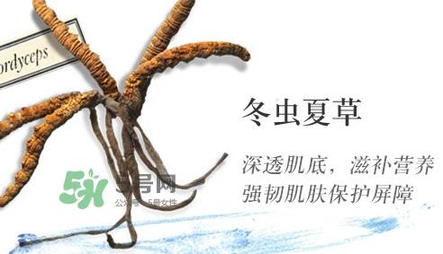 菌菇水湿敷痘更严重 菌菇水爆痘