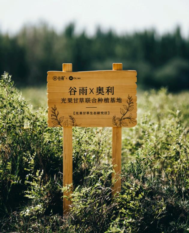 功效护肤时代 你觉得谷雨护肤品牌子怎么样