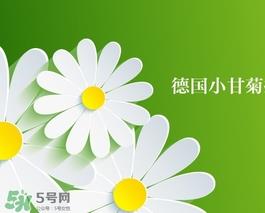 贺本清护手霜铁盒真假 德国herbacin铁盒小甘菊护手霜真假