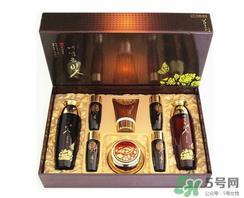 ye dam yun bit怎么样_ye dam yun bit是什么牌子