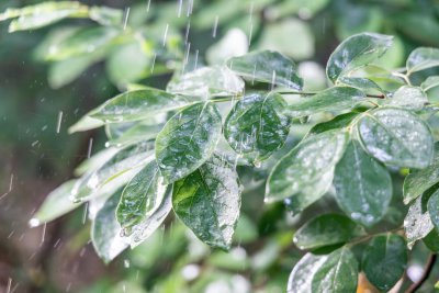 ​躲不过的“上班雨”？出行饮食请留意→