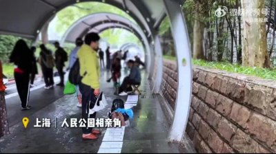 ​年轻人开始“整顿”相亲角了？