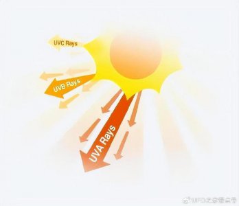 ​非洲很热，而黑色会吸热，那么非洲人为何要进化出黑皮肤呢？