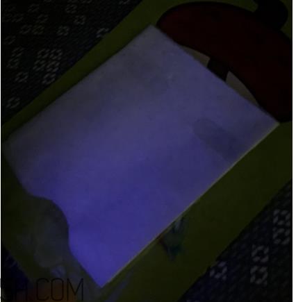 诗婷露雅奇异果面膜使用心得_产品评测