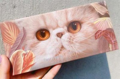 ​完美日记小猫盘多少钱 完美日记小猫盘怎么搭配