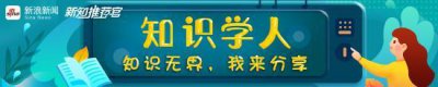 ​佟丽娅带儿子探班陈思诚，看到陈思诚的表情后，才知两人真实关系