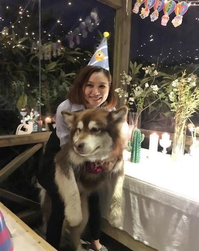 王思聪爱犬的狗牌上写着：别杀我，我家很有钱