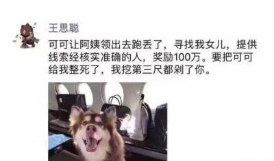 ​王思聪爱犬的狗牌上写着：别杀我，我家很有钱