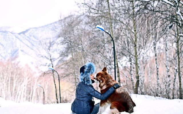 王思聪爱犬的狗牌上写着：别杀我，我家很有钱