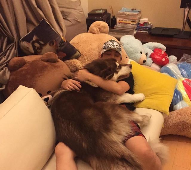王思聪爱犬的狗牌上写着：别杀我，我家很有钱