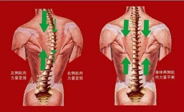 驼背、圆肩、含胸=又老又丑！穿它3秒矫正，气质翻倍~